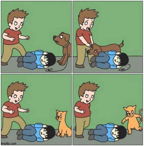 The Difference Between Cats And Dogs ! | image tagged in cats,dogs,beating | made w/ Imgflip meme maker