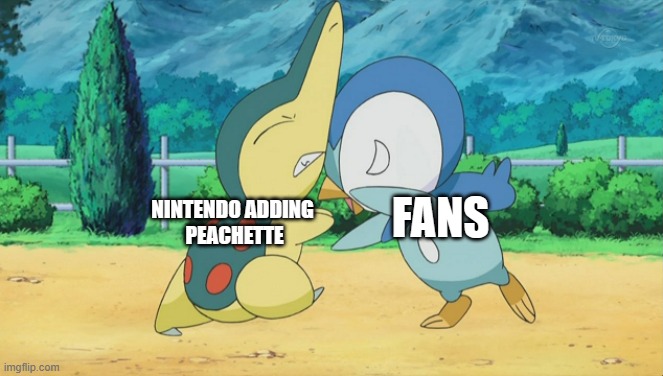 Cyndaquil Squabbling with Piplup | FANS; NINTENDO ADDING
 PEACHETTE | image tagged in cyndaquil squabbling with piplup | made w/ Imgflip meme maker