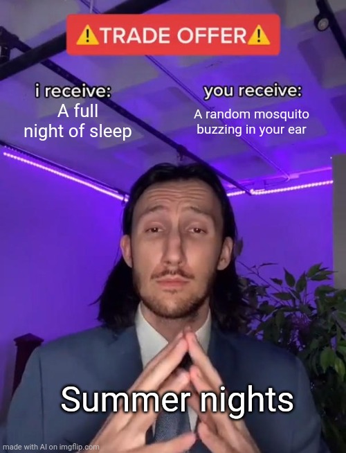 Ok | A full night of sleep; A random mosquito buzzing in your ear; Summer nights | image tagged in trade offer | made w/ Imgflip meme maker