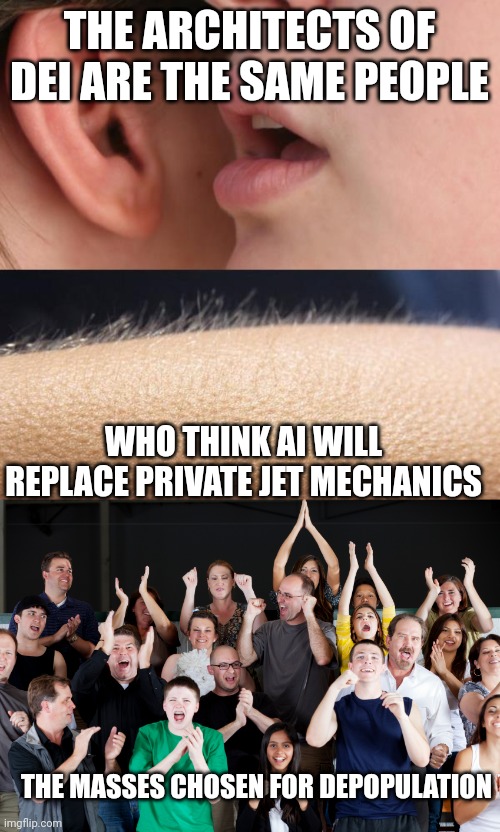 THE ARCHITECTS OF DEI ARE THE SAME PEOPLE; WHO THINK AI WILL REPLACE PRIVATE JET MECHANICS; THE MASSES CHOSEN FOR DEPOPULATION | image tagged in whisper and goosebumps,crowd cheering | made w/ Imgflip meme maker