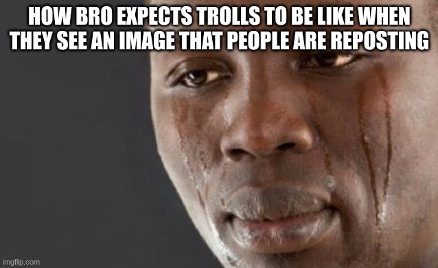 Black guy cry | HOW BRO EXPECTS TROLLS TO BE LIKE WHEN THEY SEE AN IMAGE THAT PEOPLE ARE REPOSTING | image tagged in black guy cry | made w/ Imgflip meme maker
