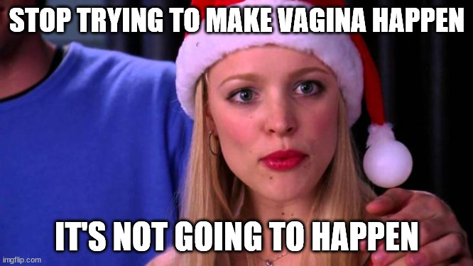 Stop Trying to Make Fetch Happen | STOP TRYING TO MAKE VAGINA HAPPEN; IT'S NOT GOING TO HAPPEN | image tagged in stop trying to make fetch happen | made w/ Imgflip meme maker