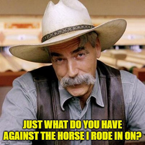 I understand you don't like me, but... | JUST WHAT DO YOU HAVE AGAINST THE HORSE I RODE IN ON? | image tagged in sarcasm cowboy | made w/ Imgflip meme maker