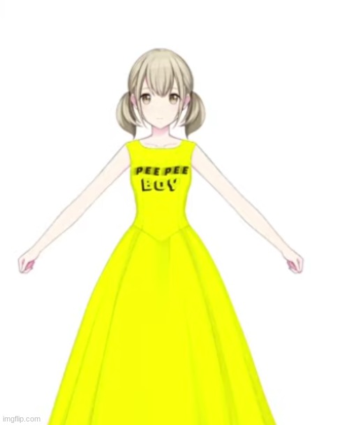 NOT KOHANE IN THE PISS DRESS | image tagged in i have your ip address | made w/ Imgflip meme maker