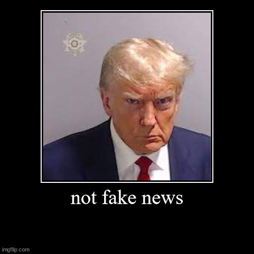 not fake news | | image tagged in funny,demotivationals | made w/ Imgflip demotivational maker