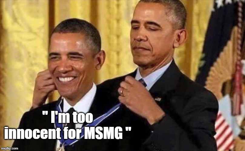 Everybody. | " I'm too innocent for MSMG " | image tagged in obama medal | made w/ Imgflip meme maker
