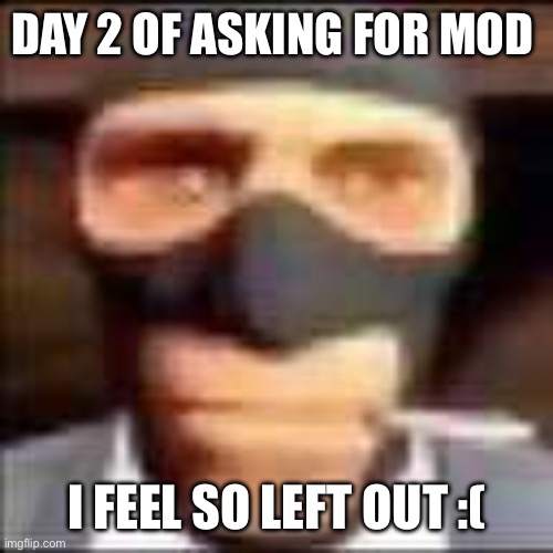 everyone else seems to have it | DAY 2 OF ASKING FOR MOD; I FEEL SO LEFT OUT :( | image tagged in spi | made w/ Imgflip meme maker