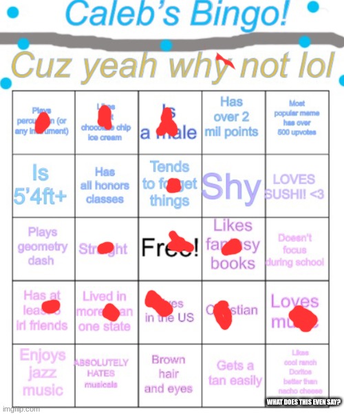 got a bingo | WHAT DOES THIS EVEN SAY? | image tagged in caleb s bingo | made w/ Imgflip meme maker
