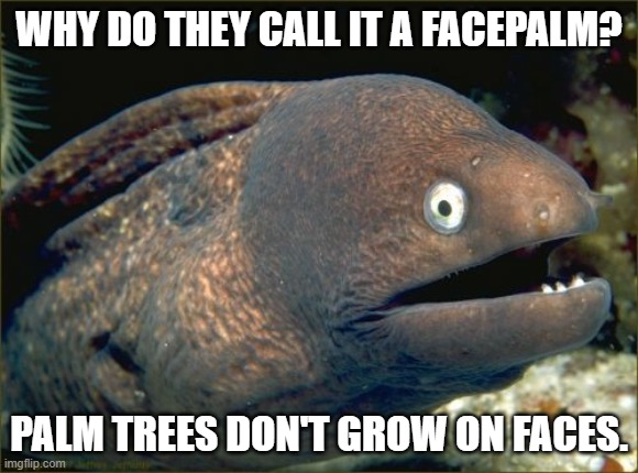 Facepalm Joke Eel | WHY DO THEY CALL IT A FACEPALM? PALM TREES DON'T GROW ON FACES. | image tagged in memes,bad joke eel,facepalm,wordplay | made w/ Imgflip meme maker