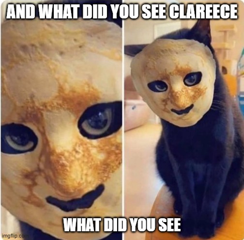 Killer Cat | AND WHAT DID YOU SEE CLAREECE; WHAT DID YOU SEE | image tagged in funny cat | made w/ Imgflip meme maker