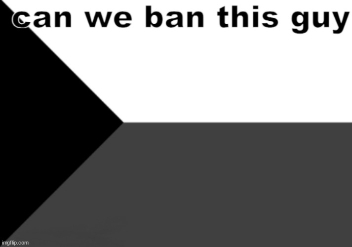 can we ban this guy ( my edition ) | image tagged in can we ban this guy my edition | made w/ Imgflip meme maker