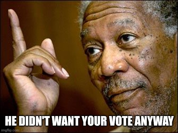 This Morgan Freeman | HE DIDN'T WANT YOUR VOTE ANYWAY | image tagged in this morgan freeman | made w/ Imgflip meme maker