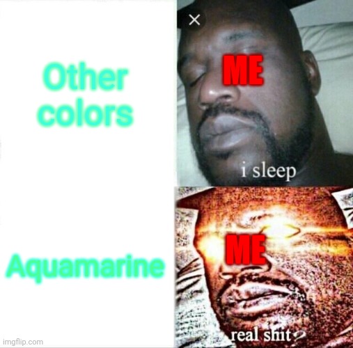 Ah yes my favourite color                                                                                                        | Other colors; ME; Aquamarine; ME | image tagged in memes,sleeping shaq | made w/ Imgflip meme maker