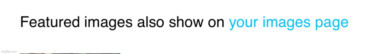 Was this always a feature | made w/ Imgflip meme maker