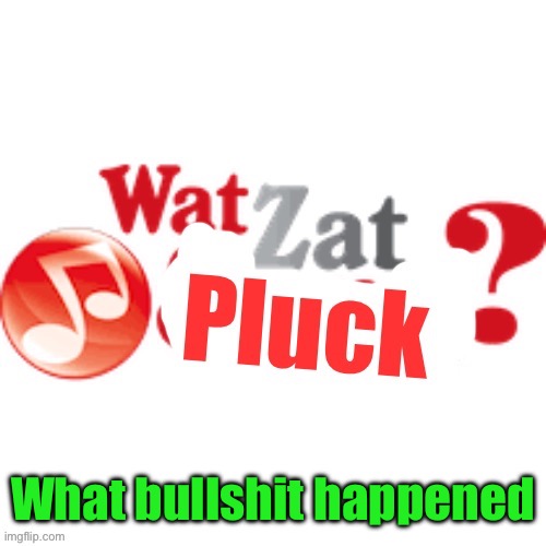 WatZatPluck announcement | What bullshit happened | image tagged in watzatpluck announcement | made w/ Imgflip meme maker