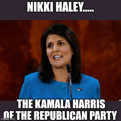 We got one too | NIKKI HALEY..... THE KAMALA HARRIS OF THE REPUBLICAN PARTY | image tagged in nikki haley | made w/ Imgflip meme maker