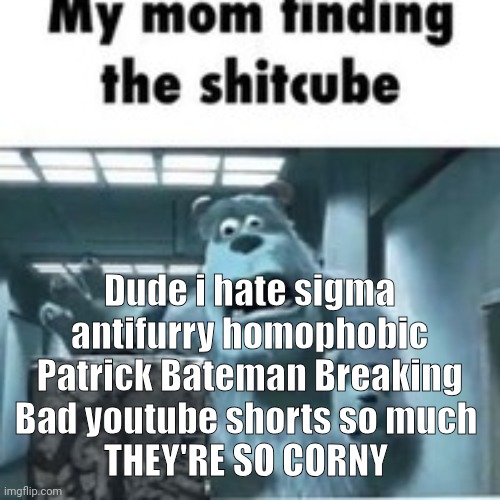 little dark age slowed background music | Dude i hate sigma antifurry homophobic Patrick Bateman Breaking Bad youtube shorts so much 
THEY'RE SO CORNY | image tagged in my mom finding the shitcube | made w/ Imgflip meme maker