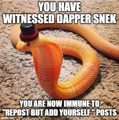 they are actually popping up everywhere in pokemon stream | YOU HAVE WITNESSED DAPPER SNEK; YOU ARE NOW IMMUNE TO "REPOST BUT ADD YOURSELF " POSTS | image tagged in dapper snek | made w/ Imgflip meme maker