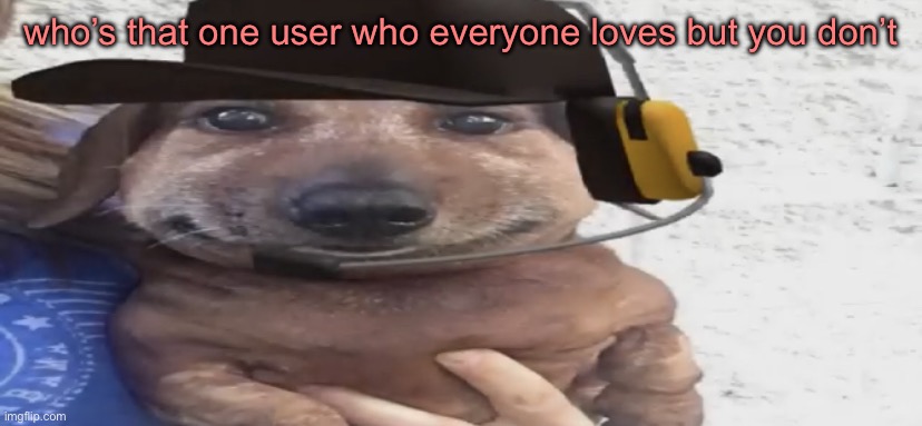 chucklenuts | who’s that one user who everyone loves but you don’t | image tagged in chucklenuts | made w/ Imgflip meme maker