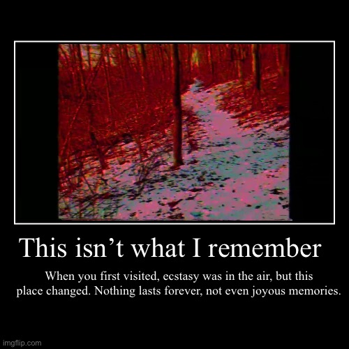 This isn’t what I remember | When you first visited, ecstasy was in the air, but this place changed. Nothing lasts forever, not even joyous  | image tagged in funny,demotivationals | made w/ Imgflip demotivational maker