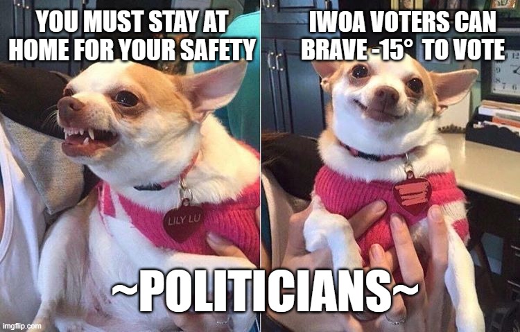 angry dog meme | YOU MUST STAY AT HOME FOR YOUR SAFETY; IWOA VOTERS CAN BRAVE -15°  TO VOTE; ~POLITICIANS~ | image tagged in angry dog meme | made w/ Imgflip meme maker