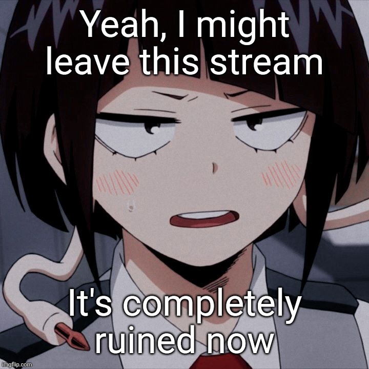 So many OG's are getting banned, it's disgusting | Yeah, I might leave this stream; It's completely ruined now | image tagged in kyoka jiro | made w/ Imgflip meme maker