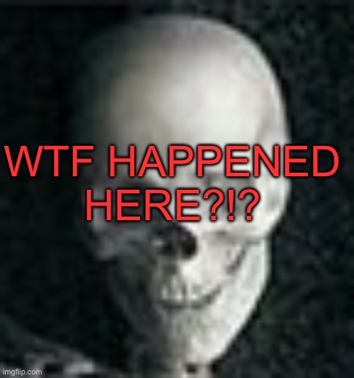 . | WTF HAPPENED HERE?!? | image tagged in skull | made w/ Imgflip meme maker