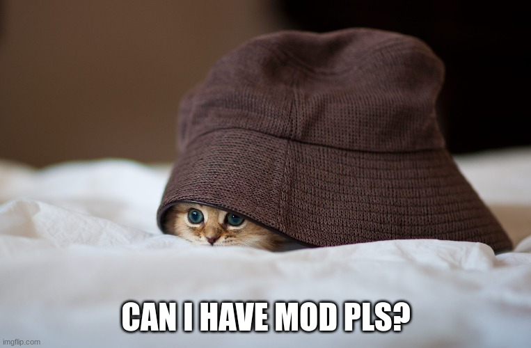 CAN I HAVE MOD PLS? | made w/ Imgflip meme maker