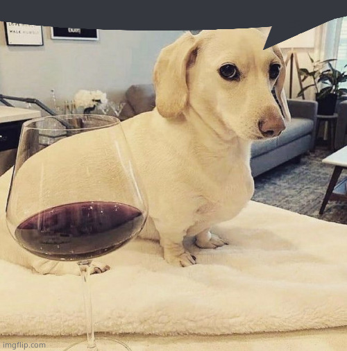 Homophobic Dog | image tagged in homophobic dog | made w/ Imgflip meme maker