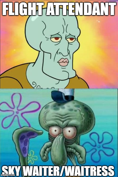 Squidward | FLIGHT ATTENDANT; SKY WAITER/WAITRESS | image tagged in memes,squidward,airplane,plane,flight attendant,sky waiter | made w/ Imgflip meme maker