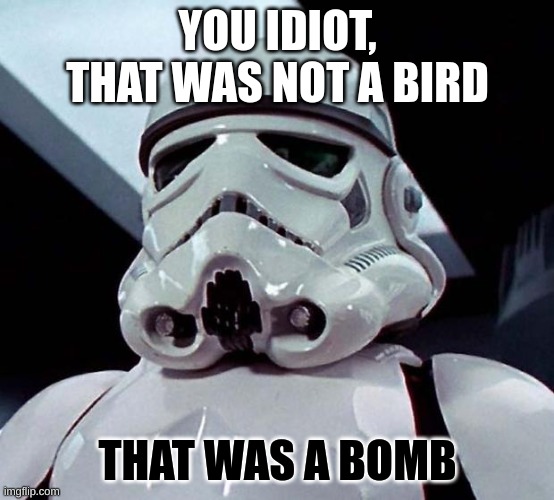 Stormtrooper | YOU IDIOT, THAT WAS NOT A BIRD THAT WAS A BOMB | image tagged in stormtrooper | made w/ Imgflip meme maker