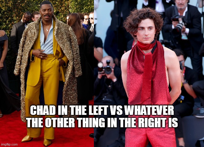 Fashion am i right? | CHAD IN THE LEFT VS WHATEVER THE OTHER THING IN THE RIGHT IS | image tagged in giga chad,soyboy vs yes chad,fashion,cheems | made w/ Imgflip meme maker