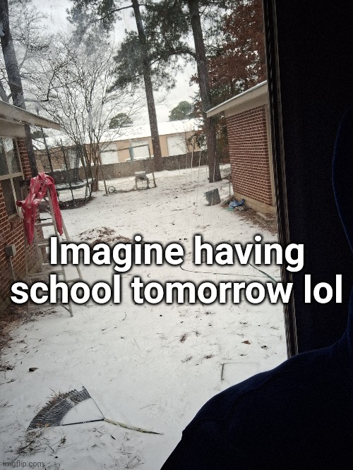 my-backyard-is-a-wreck-imgflip