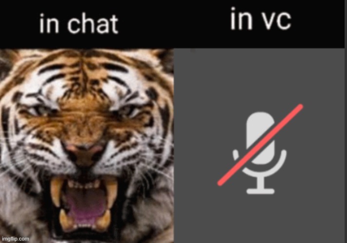 POV: you're on discord arguing with someone | image tagged in funny,funny memes,discord moderator,lol,lol so funny | made w/ Imgflip meme maker