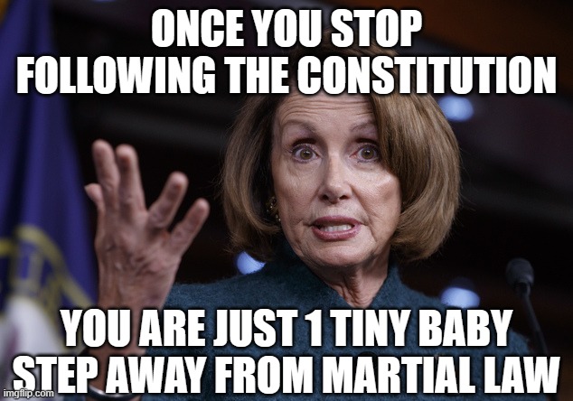 Good old Nancy Pelosi | ONCE YOU STOP FOLLOWING THE CONSTITUTION YOU ARE JUST 1 TINY BABY STEP AWAY FROM MARTIAL LAW | image tagged in good old nancy pelosi | made w/ Imgflip meme maker