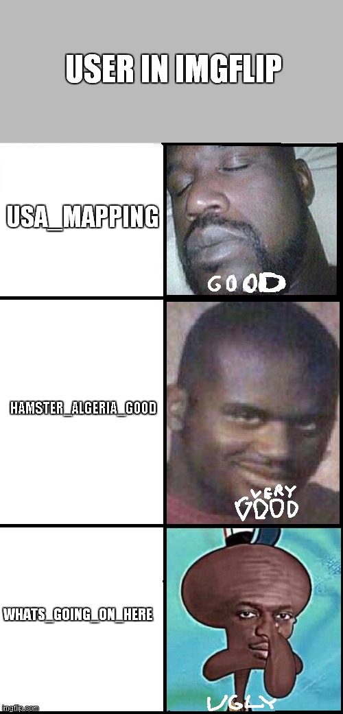 Whats_going_on_here is bad | USER IN IMGFLIP; USA_MAPPING; HAMSTER_ALGERIA_GOOD; WHATS_GOING_ON_HERE | image tagged in shoq good very good ugly | made w/ Imgflip meme maker