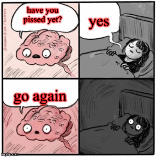 Brain Before Sleep | yes; have you pissed yet? go again | image tagged in brain before sleep | made w/ Imgflip meme maker