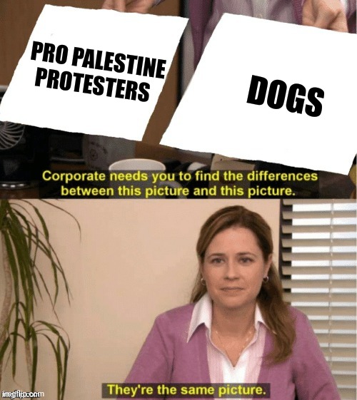 They’re the same thing | PRO PALESTINE PROTESTERS DOGS | image tagged in they re the same thing | made w/ Imgflip meme maker