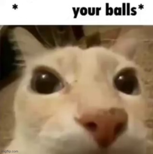 X your balls | image tagged in x your balls | made w/ Imgflip meme maker