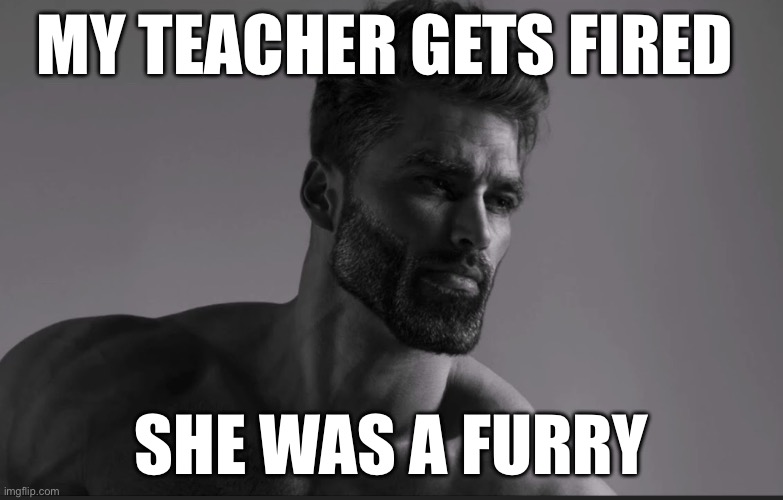 MY TEACHER GETS FIRED; SHE WAS A FURRY | made w/ Imgflip meme maker