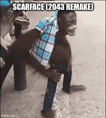 8cg61l.gif