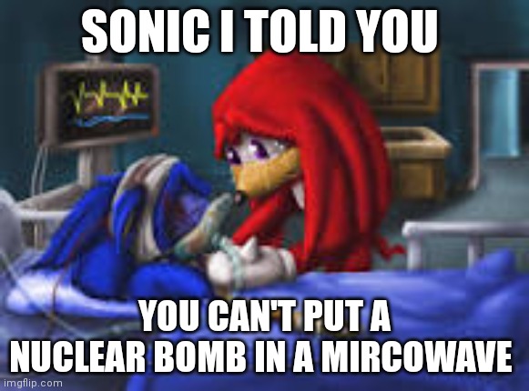 sonic i told you | SONIC I TOLD YOU; YOU CAN'T PUT A NUCLEAR BOMB IN A MIRCOWAVE | image tagged in sonic i told you | made w/ Imgflip meme maker