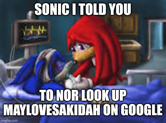 sonic i told you | SONIC I TOLD YOU; TO NOT LOOK UP MAYLOVESAKIDAH ON GOOGLE | image tagged in sonic i told you | made w/ Imgflip meme maker