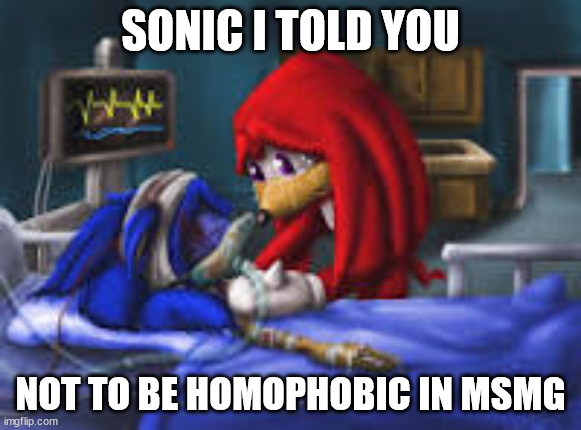 sonic i told you | SONIC I TOLD YOU; NOT TO BE HOMOPHOBIC IN MSMG | image tagged in sonic i told you | made w/ Imgflip meme maker