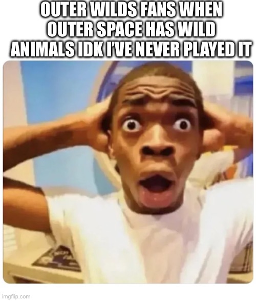 Black guy suprised | OUTER WILDS FANS WHEN OUTER SPACE HAS WILD ANIMALS IDK I’VE NEVER PLAYED IT | image tagged in black guy suprised,video games,fun,outer space,outer wilds | made w/ Imgflip meme maker