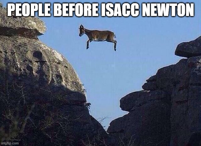 Before gravity was discovered | PEOPLE BEFORE ISACC NEWTON | image tagged in whatever floats your goat | made w/ Imgflip meme maker