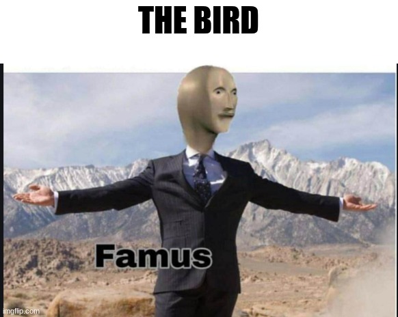 Stonks famus | THE BIRD | image tagged in stonks famus | made w/ Imgflip meme maker
