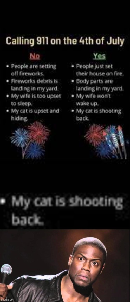 Excuse me but, WTF!? also, this is an unseasonal meme. I'm going to make a stream for them. | image tagged in kevin heart idiot,memes,what,fourth of july,unseasonal meme | made w/ Imgflip meme maker