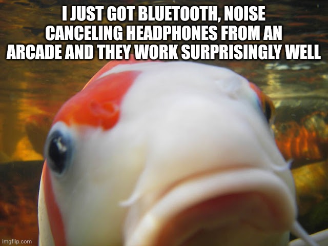 Koi | I JUST GOT BLUETOOTH, NOISE CANCELING HEADPHONES FROM AN ARCADE AND THEY WORK SURPRISINGLY WELL | image tagged in koi | made w/ Imgflip meme maker