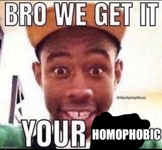 BRO WE GET IT YOU'RE GAY | HOMOPHOBIC | image tagged in bro we get it you're gay | made w/ Imgflip meme maker